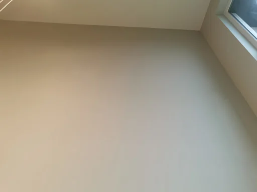 M PACE PAINTERS &amp; DECORATORS LIMITED photo 3