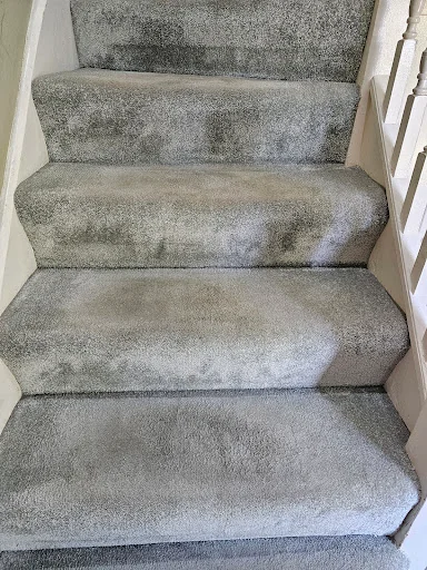 DISINFECTÓ PURUS LTD photo 2