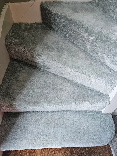 DISINFECTÓ PURUS LTD photo 3