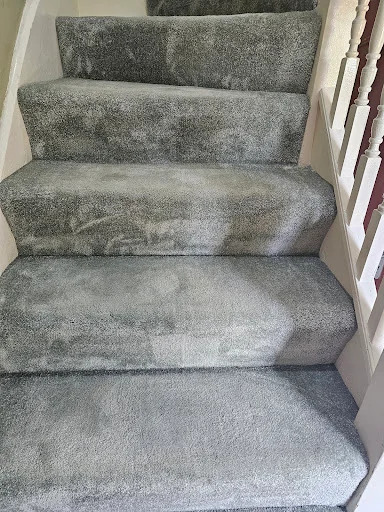 DISINFECTÓ PURUS LTD photo 4