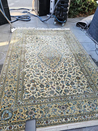 DISINFECTÓ PURUS LTD photo 5