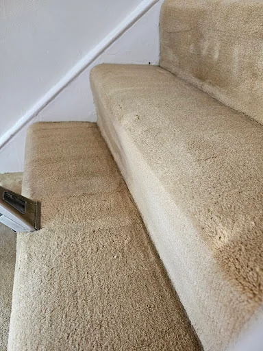 DISINFECTÓ PURUS LTD photo 6