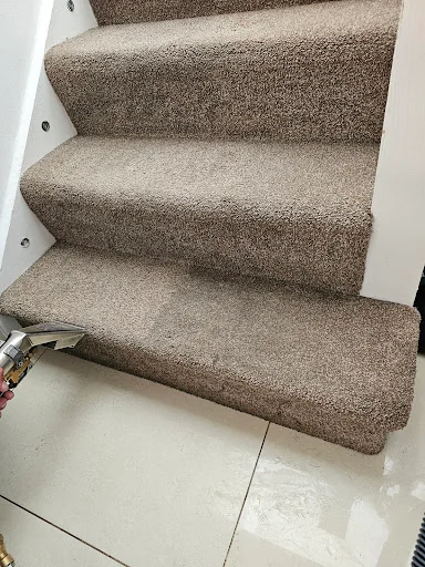 DISINFECTÓ PURUS LTD photo 7