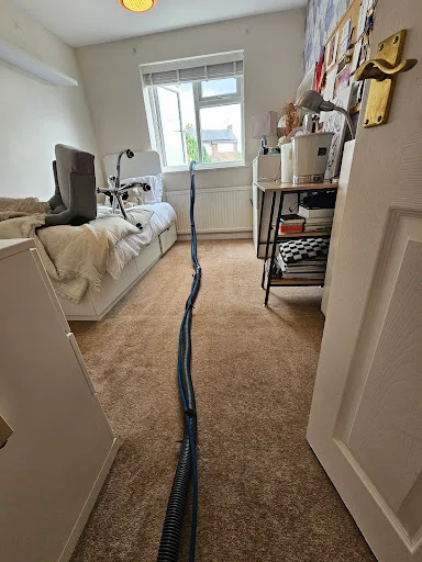 DISINFECTÓ PURUS LTD photo 8