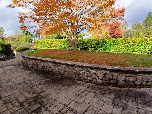 Border Tree and Garden Services photo 1