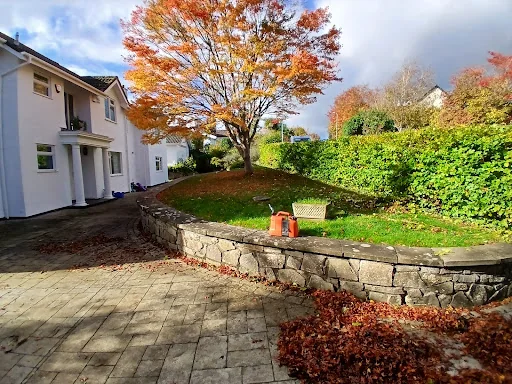 Border Tree and Garden Services photo 2