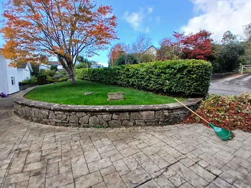 Border Tree and Garden Services photo 3