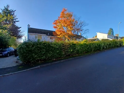 Border Tree and Garden Services photo 5