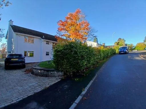 Border Tree and Garden Services photo 6