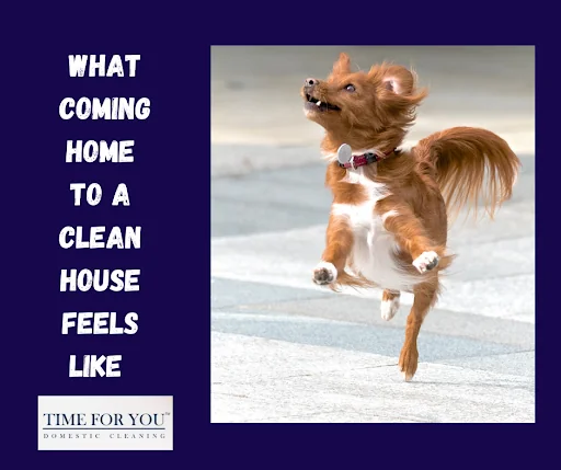 Time For You (Newport) Cleaning LTD photo 1