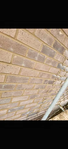 Elite Repointing &amp; Renovations Limited photo 2