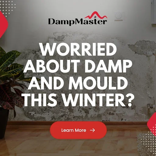 Dampmaster West London Ltd photo 5