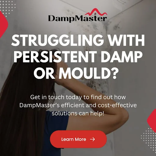 Dampmaster West London Ltd photo 6