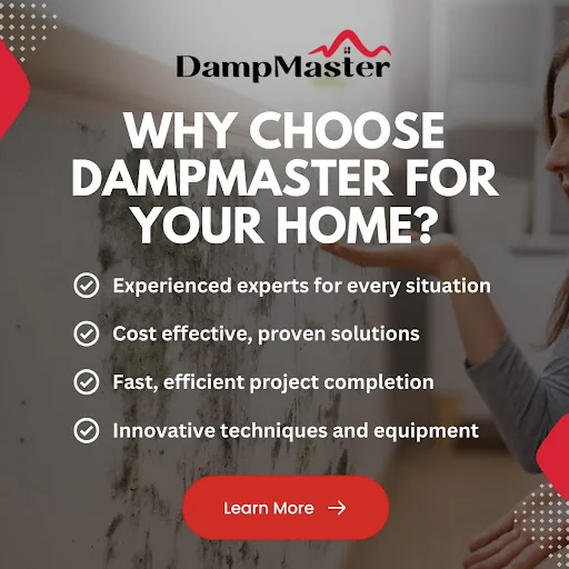 Dampmaster West London Ltd photo 7