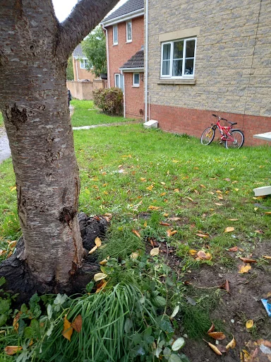 Swindon Waste Removal photo 4