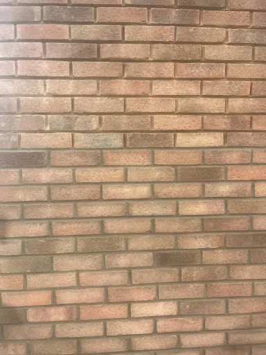 C &amp; J Pointing photo 4