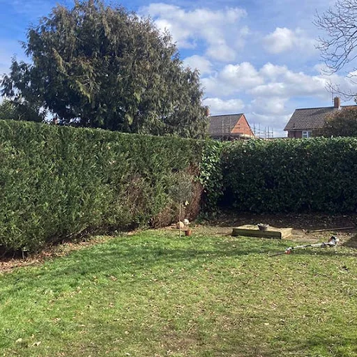 Three Leafs Gardens photo 3