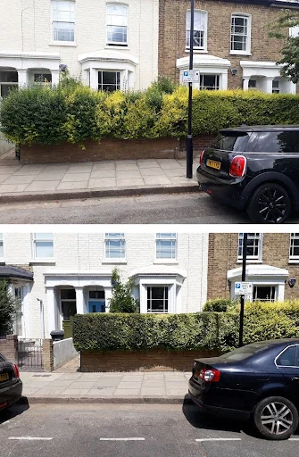 Three Leafs Gardens photo 4