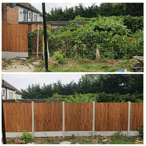 Three Leafs Gardens photo 7