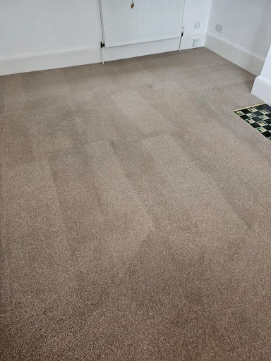 Crocodile Cleaning photo 2