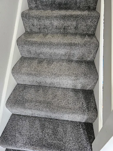 Crocodile Cleaning photo 3