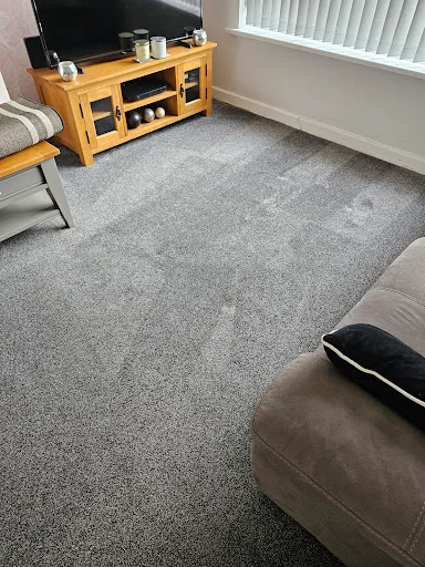 Crocodile Cleaning photo 4