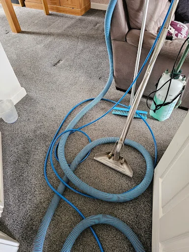 Crocodile Cleaning photo 5