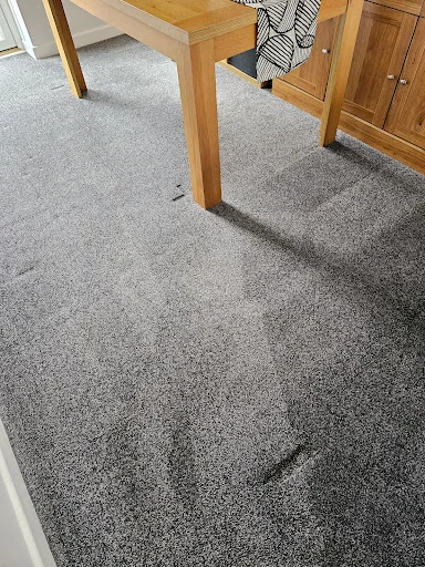 Crocodile Cleaning photo 6