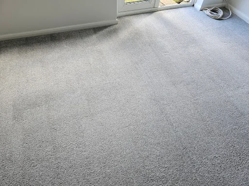 Crocodile Cleaning photo 7