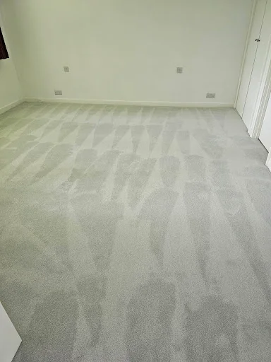 Crocodile Cleaning photo 8