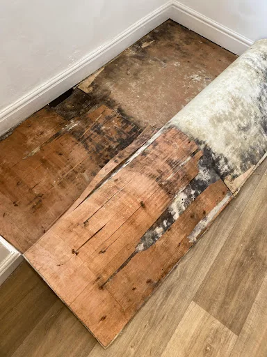 Soushian Ltd photo 7