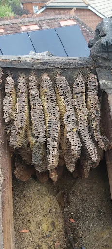 VERTAPROOF LTD photo 6