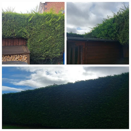 Richards Gardening Services photo 1