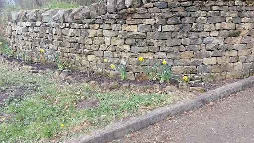 Richards Gardening Services photo 4