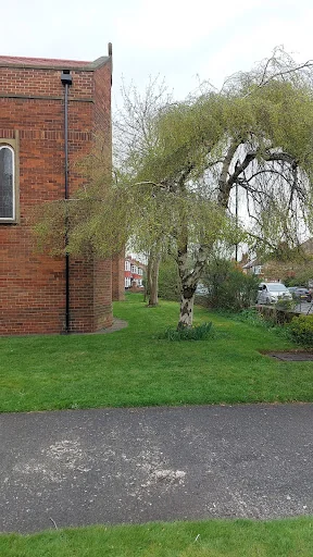 Richards Gardening Services photo 5