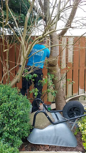 Richards Gardening Services photo 7