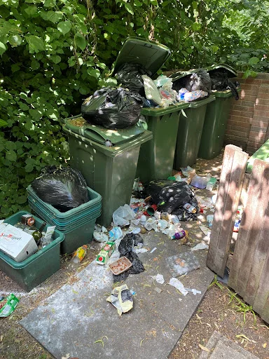 Direct Waste Services photo 7