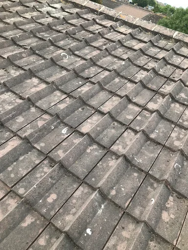 Enterprise Roofing photo 3