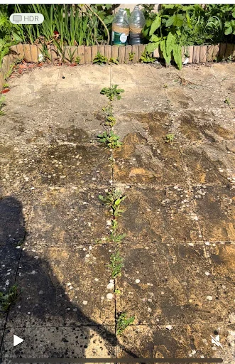 Southwest Pressure Washing photo 1