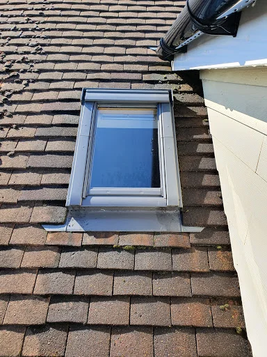 Sky View Cleaning Ltd photo 2