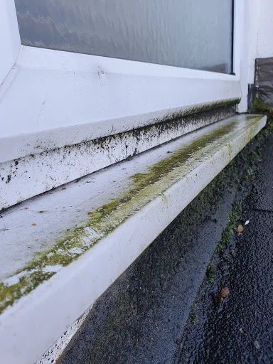 Sky View Cleaning Ltd photo 8