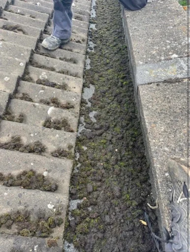 Local Roofing Specialist photo 2