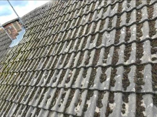 Local Roofing Specialist photo 4