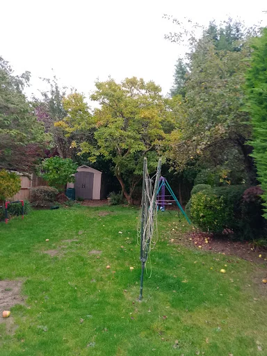 IPS Renovation ltd photo 6