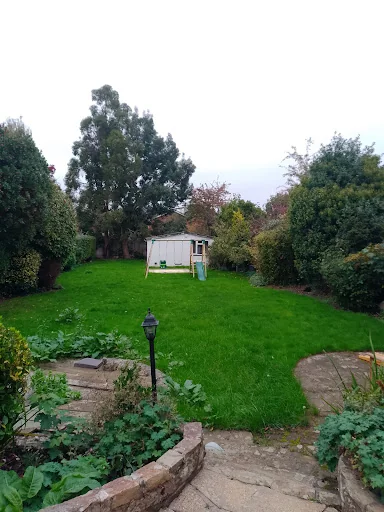 IPS Renovation ltd photo 8