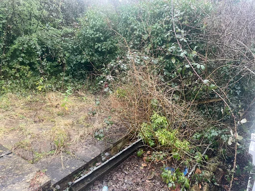 The Magnolia Group photo 2