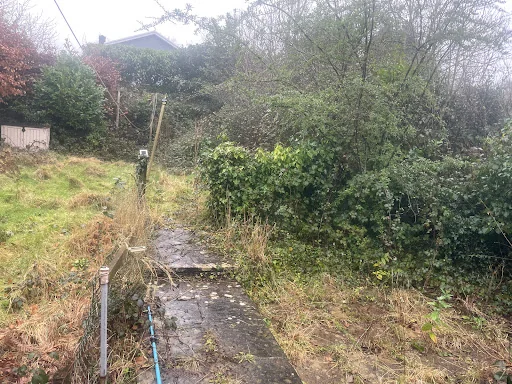 The Magnolia Group photo 3