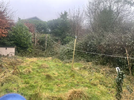 The Magnolia Group photo 5