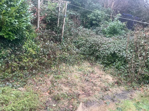 The Magnolia Group photo 7