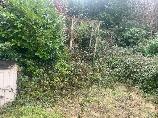 The Magnolia Group photo 8